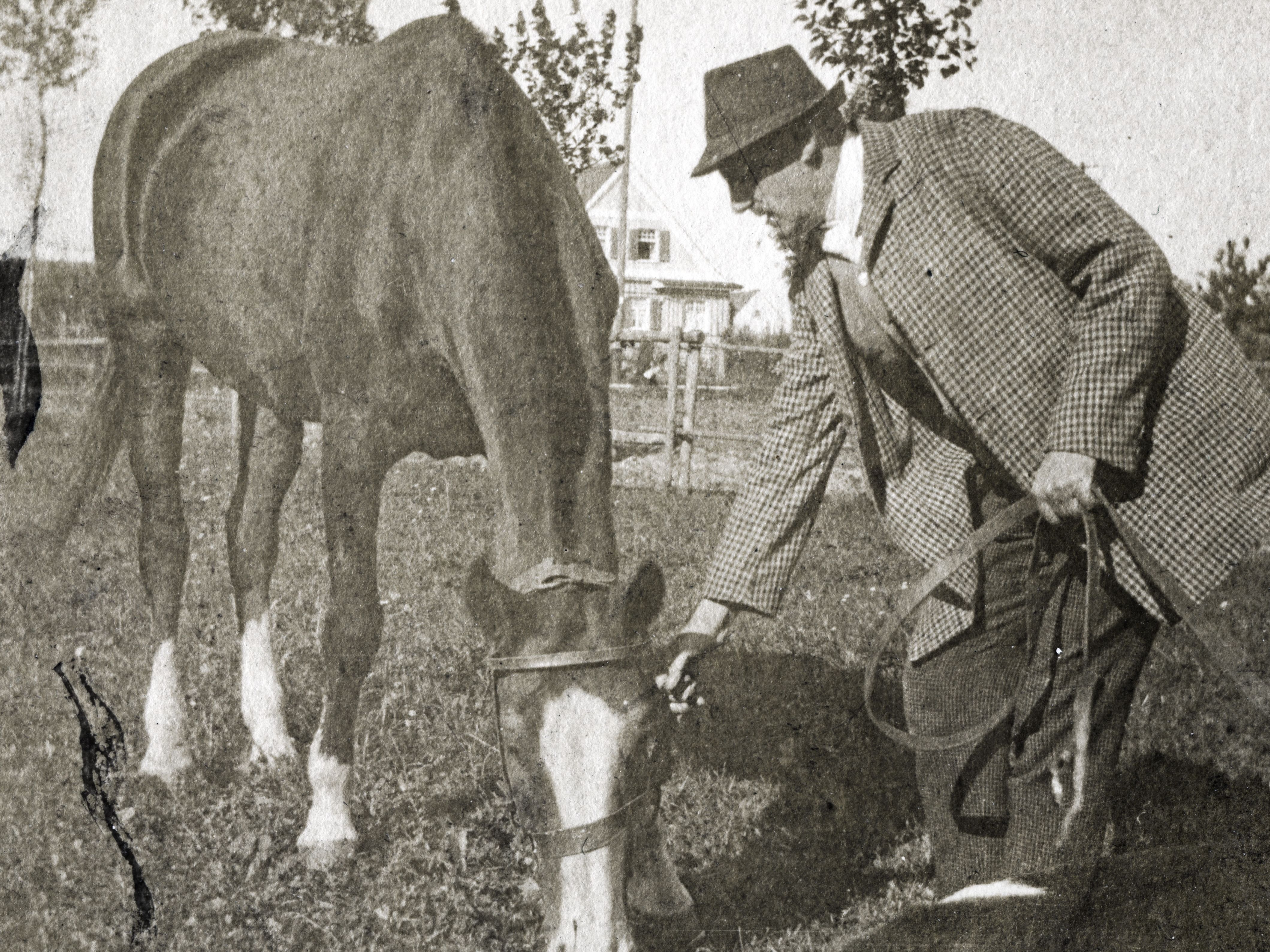 Schwarz-weiß Fotografie des Malers Max Feldbauer mit Pferd und Hund auf einer Wiese