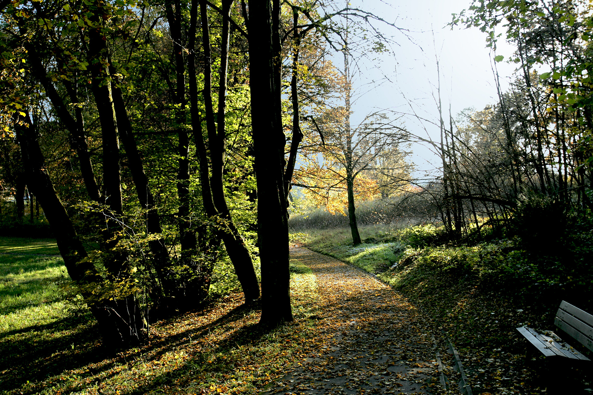 KZ-Ehrenfriedhof Leitenberg, Kreuzweg mit Bank im Herbst