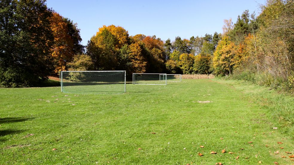 Drei Tore auf einer großen grünen Wiese umgeben von Bäumen