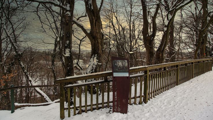 Künstlerweg Dachau im Winter, ein verschneiter Waldweg und ein Holzgeländer