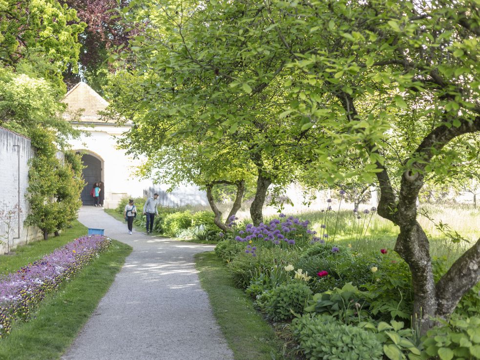 Blumenrabatten zu beiden Seiten eines Kieswegs im Hofgarten des Schloss Dachau, im Hintergrund ist der Torbogen mit dem Ausgang zu sehen. Foto: Stadt Dachau