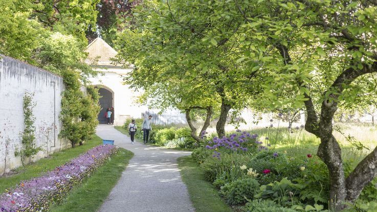 Flower borders on both sides of a gravel path in the courtyard garden of Dachau Palace; the archway with the exit can be seen in the background. photo: city of Dachau
