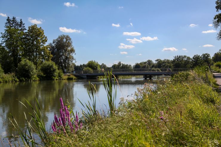 Fluss Amper