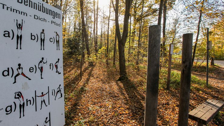 Weißes Schild, das sportliche Übungen zeigt, daneben eine Holzkonstruktion des Trimm-dich-Pfads im Dachauer Stadtwalt, im Hintergrund Bäume
