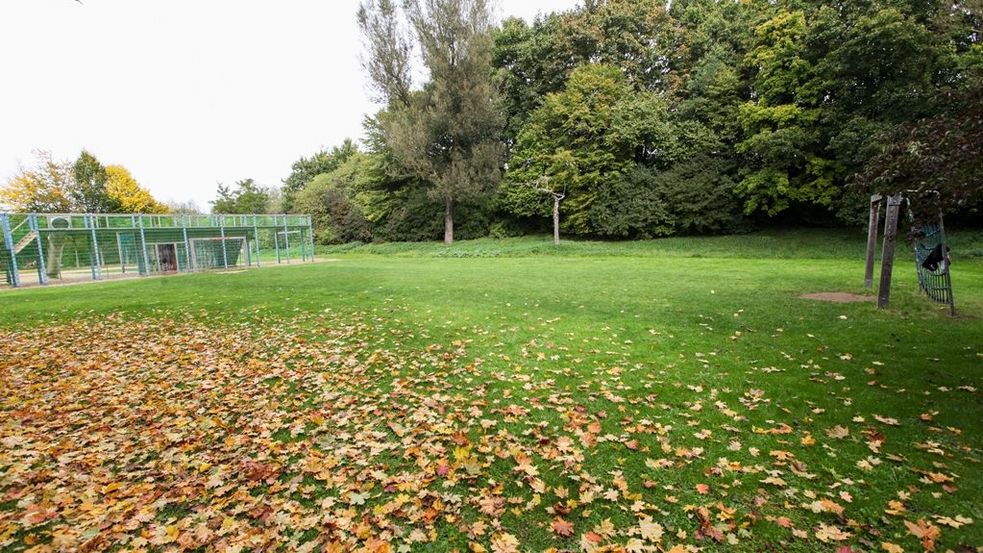 Sportplatz im Grünen mit zwei Toren und einer Zuschauertribüne