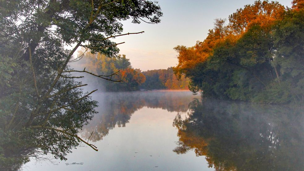 Flusslauf der Amper mit Nebel und Herbst-Bäumen