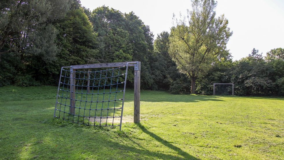 Bolzplatz mit zwei Toren und Rasen umgeben von Bäumen