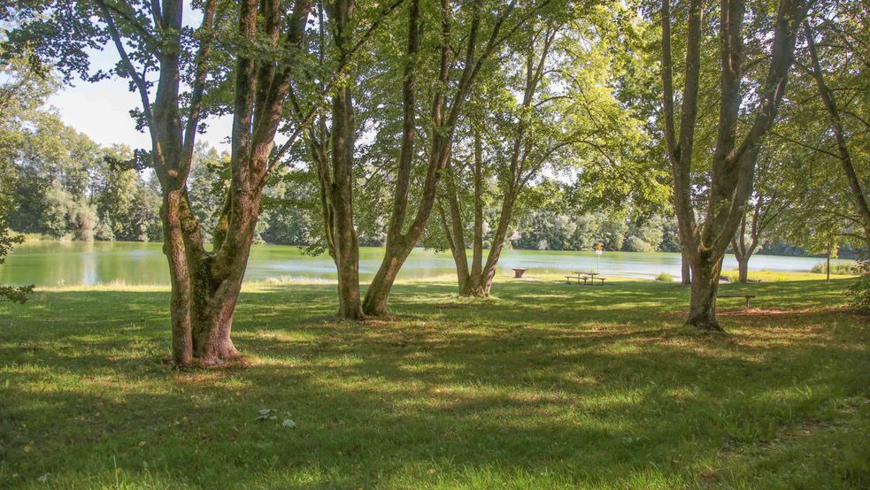 Stadtweiher Dachau