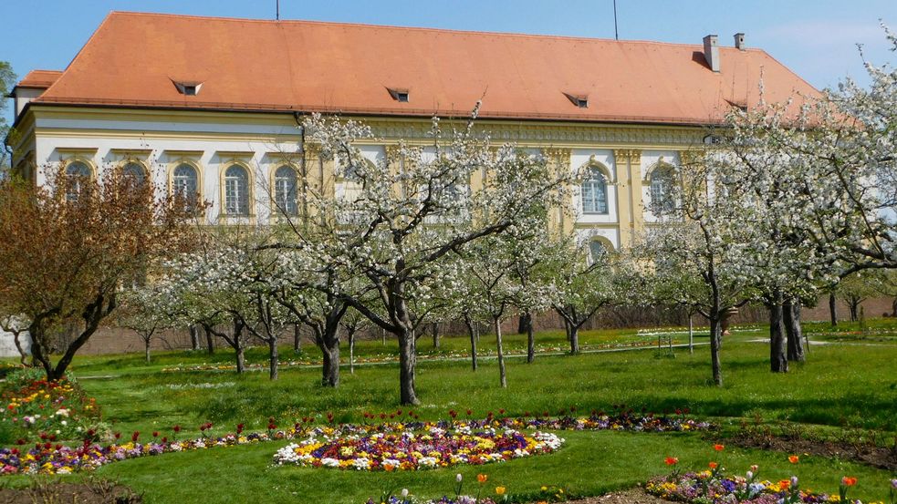 Bunte Blumenbeete und blühende Bäume auf der Wiese vor dem Schloss