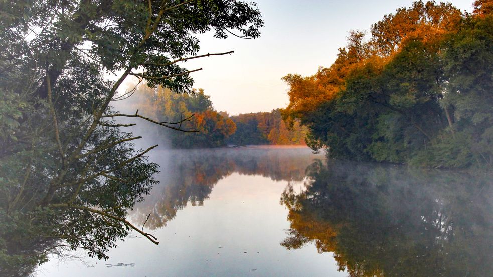 Flussbett mit Bäumen im Herbst