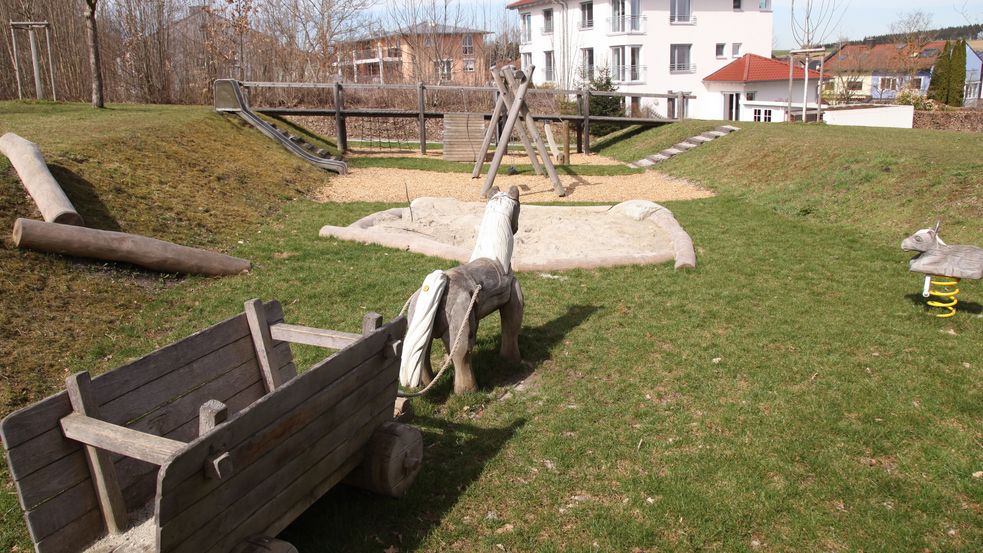 Pferd mit Wagen auf einer Wiese