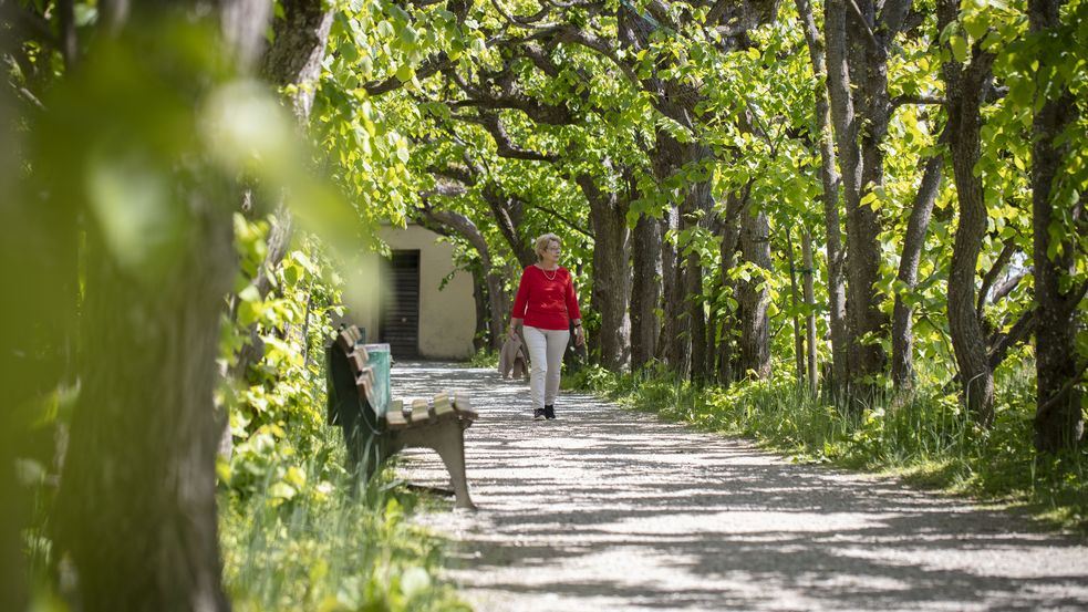 Natur in Dachau