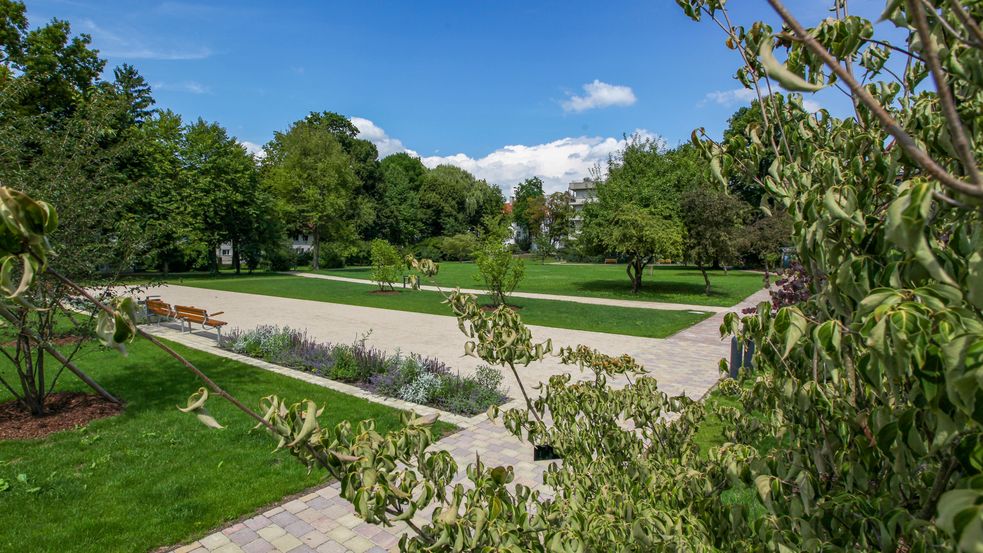 Park mit gepflasterten Wegen, Wiese und Bänken umgeben von Bäumen