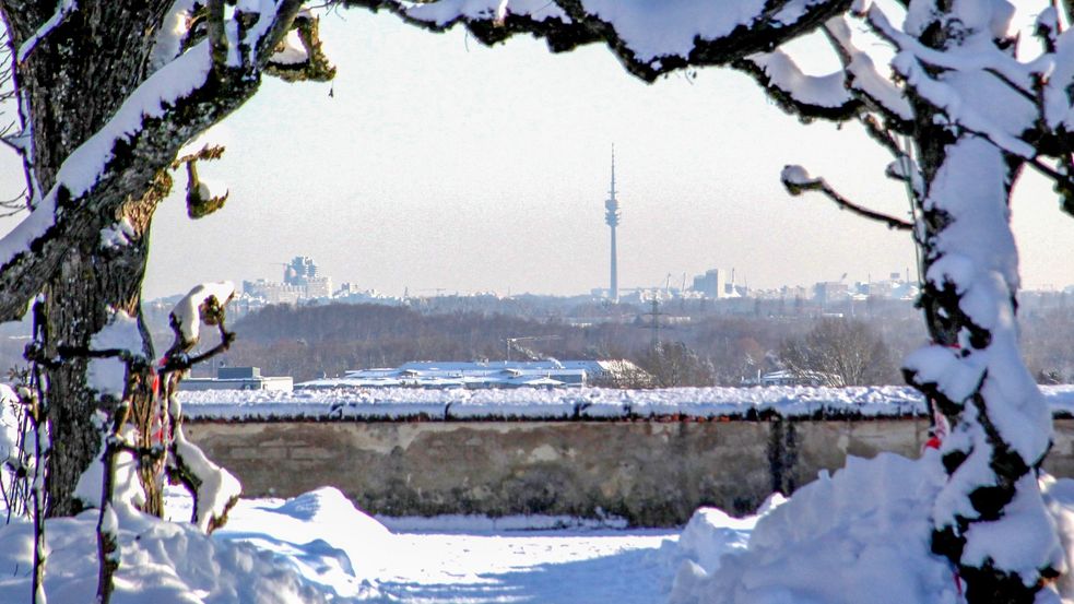Skyline von München mit Olympiaturm vom Hofgarten Dachau aus im Winter