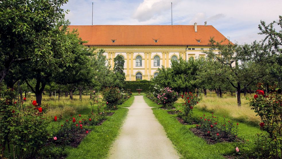 Rosa und gelbe Rosen und Apfelbäume auf einer Wiese im Hintergrund das Schlossgebäude