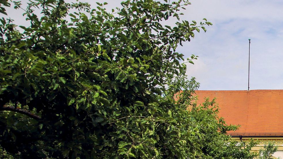 Dachau Palace and the court garden in summer, at the left side of the picture rose trees and apple trees