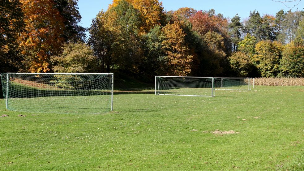 Drei Tore auf einer großen grünen Wiese 