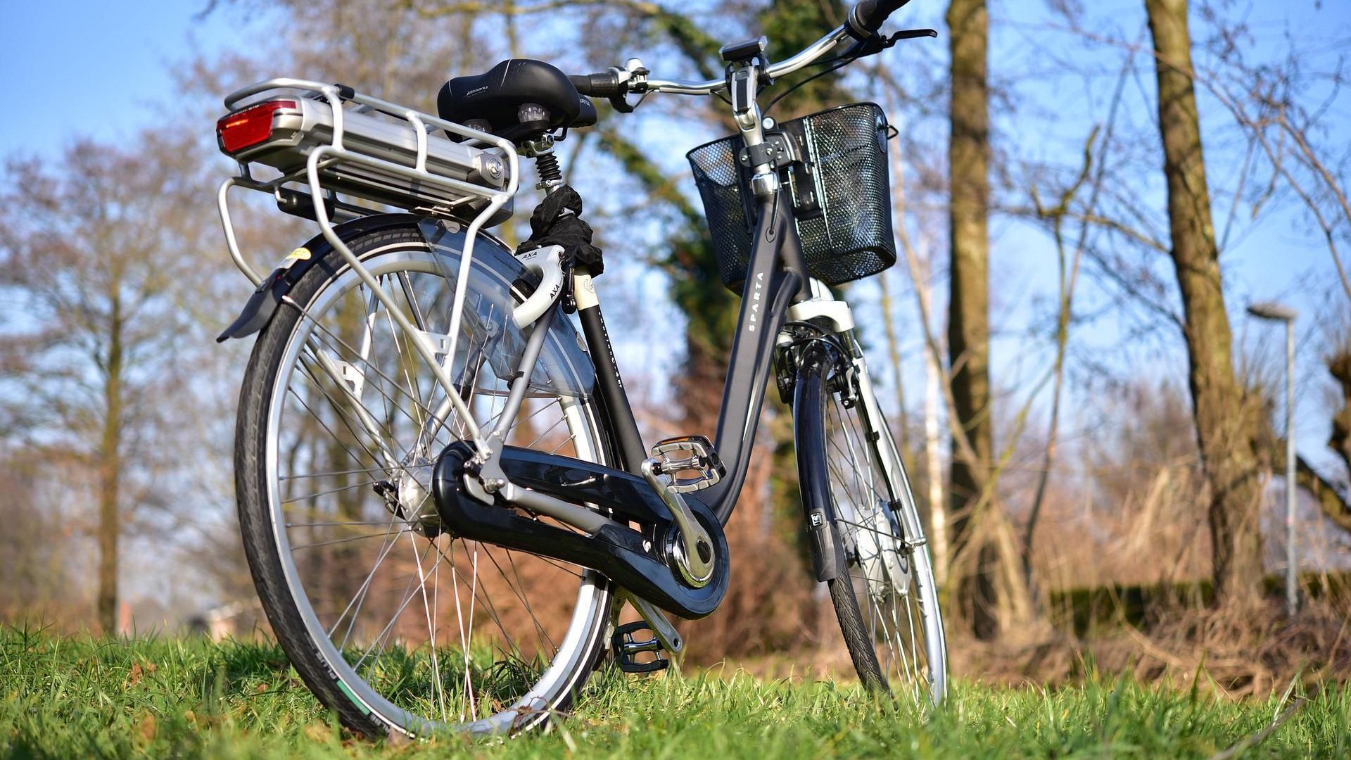 Abgestelltes E-Bike mit Wald im Hintergrund