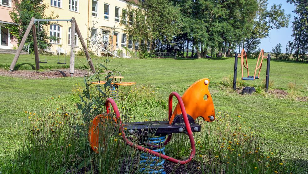 Wipp-Pferd, Wipp-Schaukel und Schaukel auf grüner Wiese