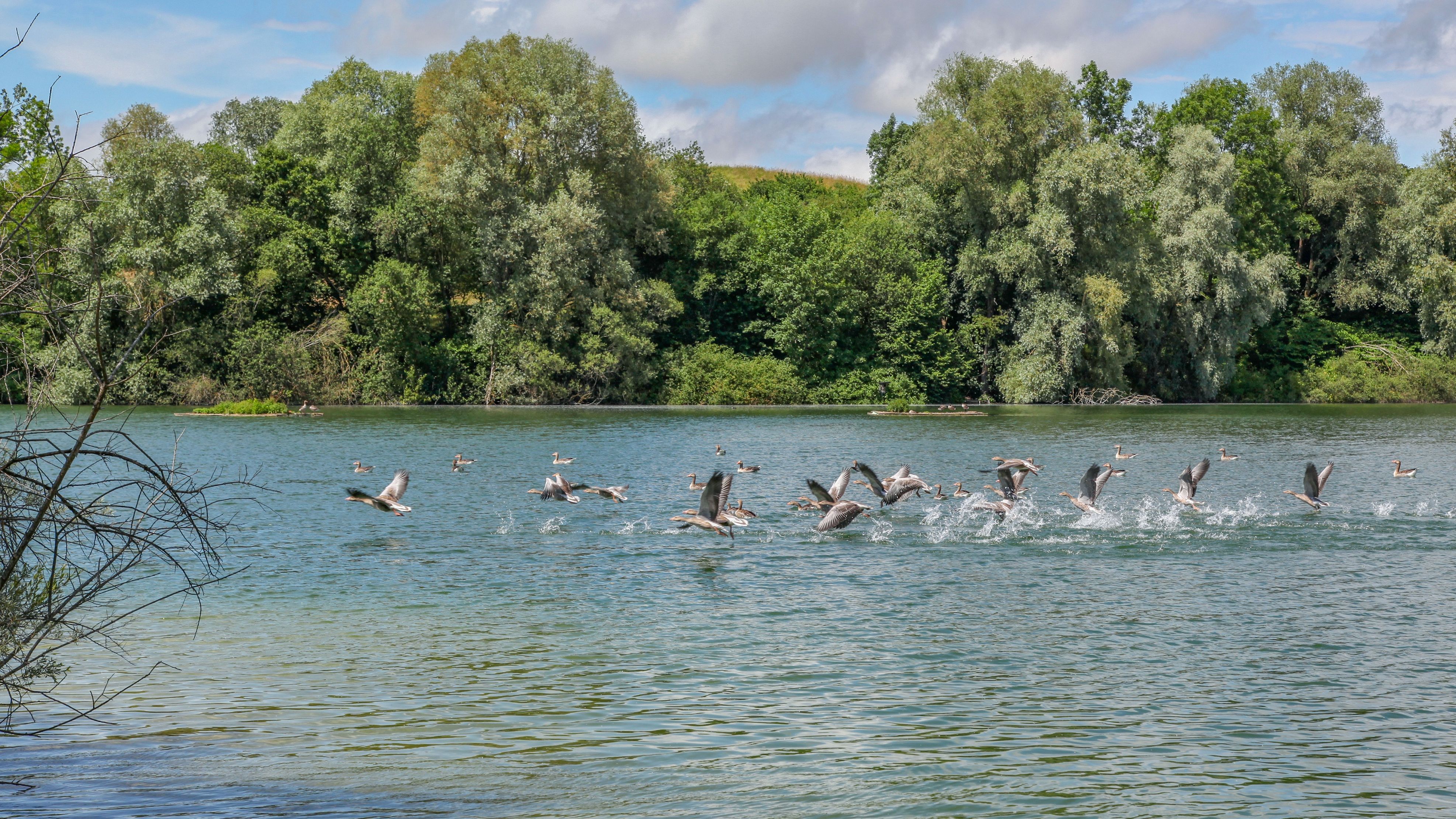 Photo of the view at the lake at Schinderkreppe, a nature reserve and bird sanctuary in Dachau. Photo: City of Dachau