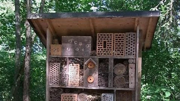 Insect hotel near "Naturfreundehaus"
