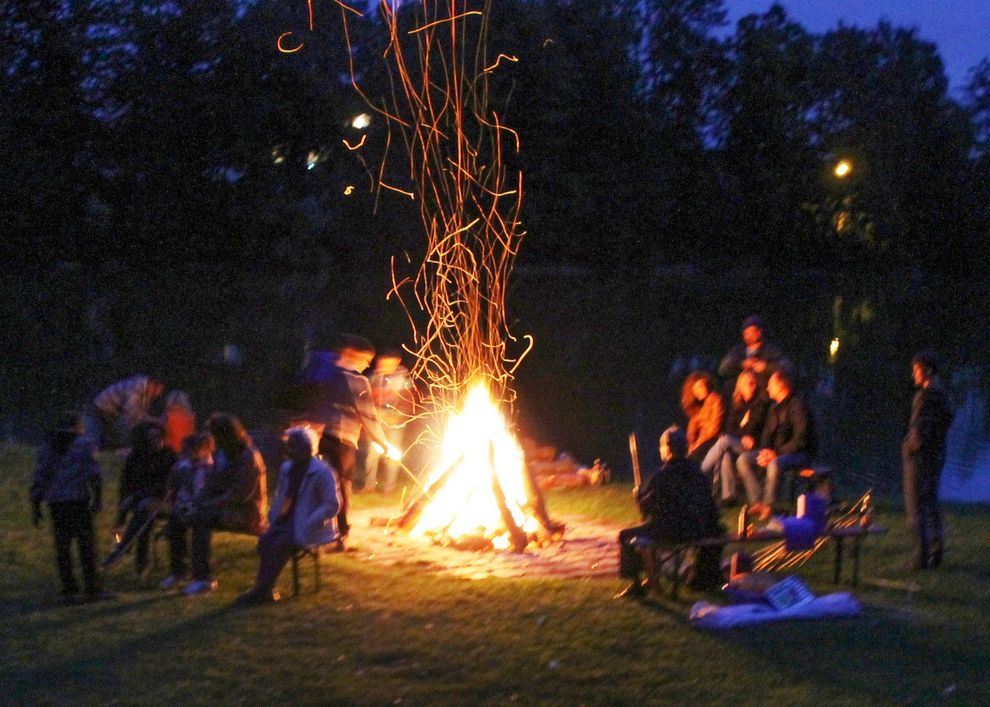Lange Nacht des Waldes in Dachau