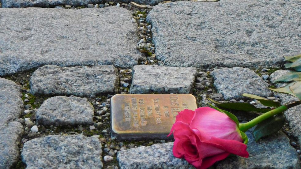 Kopfsteinpflaster mit Stolperstein in Dachau mit Rose