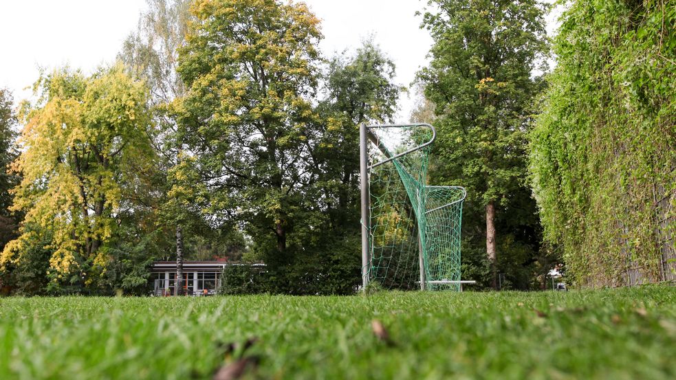 Rasen mit Tor und Bäumen im Hintergrund