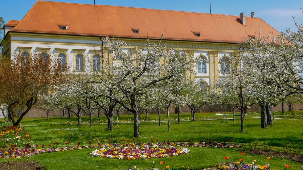 Photo of Dachau Palace garden in spring withblooming apple trees and flower beds. Blue sky overhead. Photo: City of Dachau