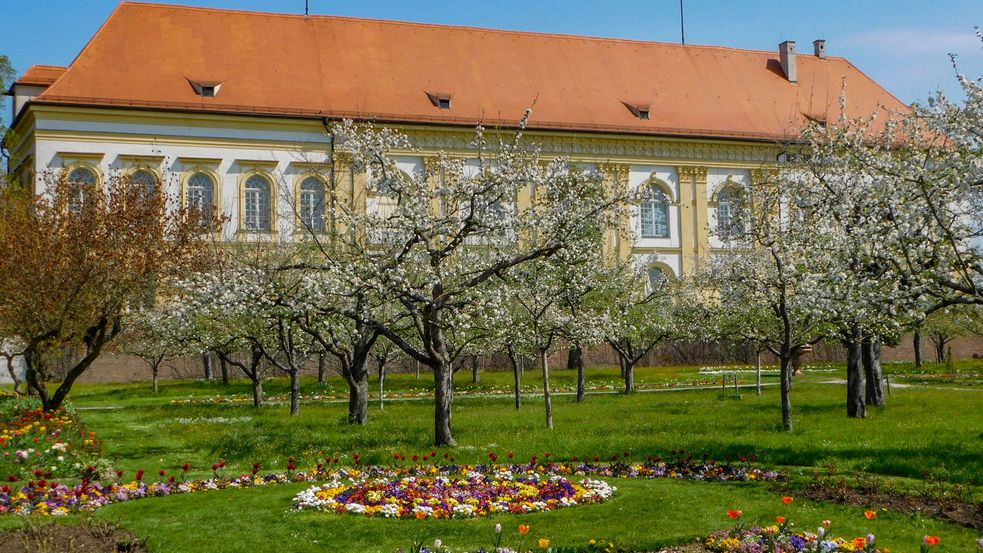 Wiese, Blumen und Bäume vor dem Schloßgebäude