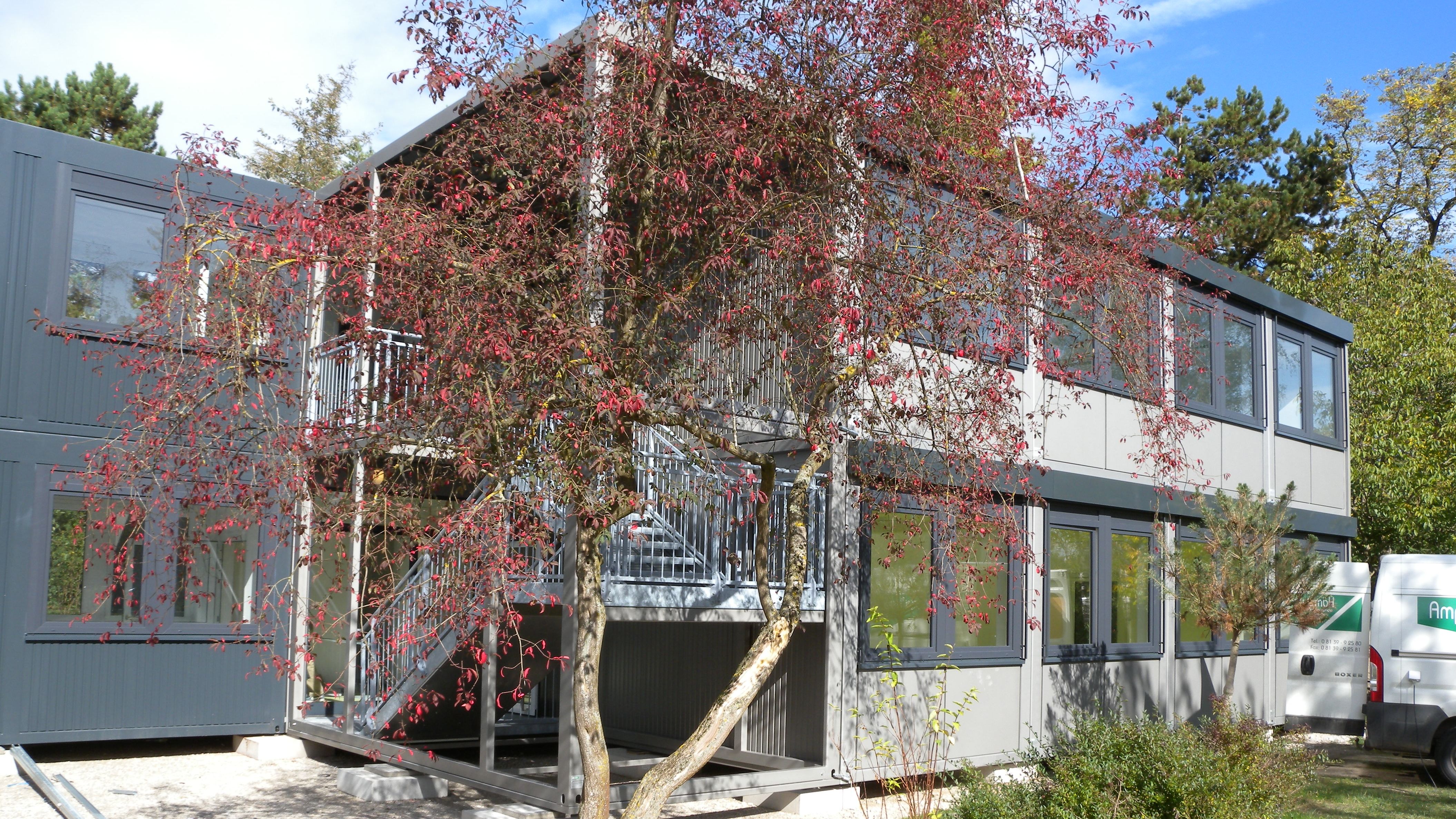 Container mit Außentreppe und Baum