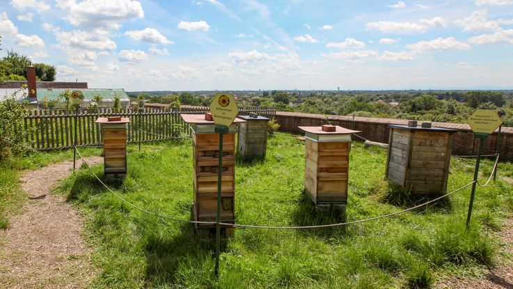 Bienenlehrpfad im Hofgarten Dachau, Ausblick auf Dachau