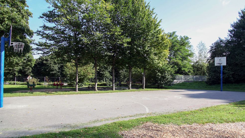 Basketballplatz umgeben von Bäumen