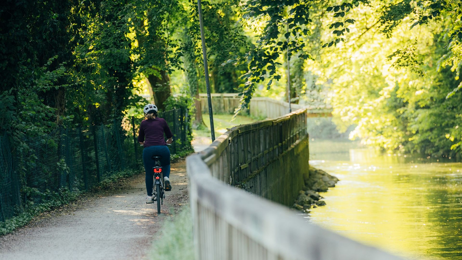 Radlfahrer auf dem Ammer-Amper-Radweg in Dachau, daneben fließt die Amper