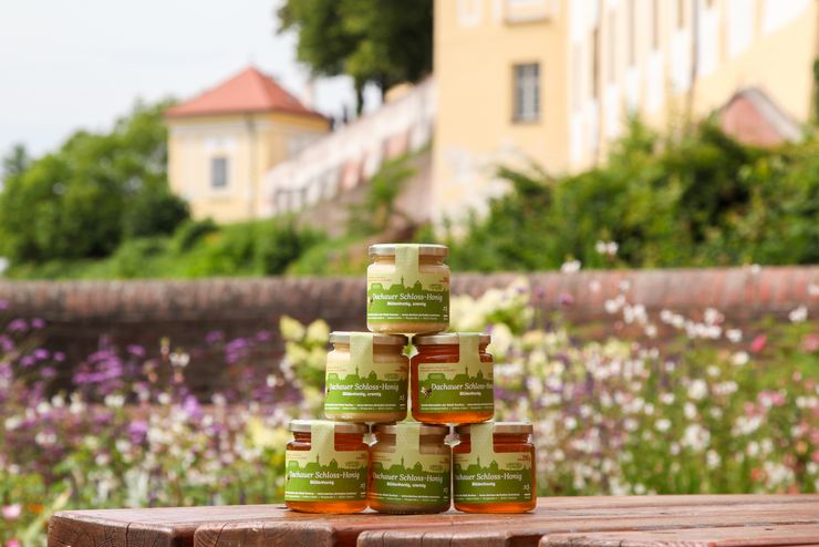 Honig von den Dachauer Schlossbienen