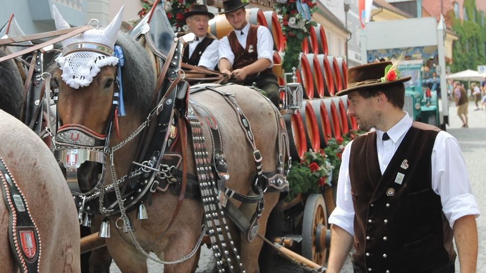 Traditionelles Brauereigespann beim Einzug zum Dachauer Volksfest, geschmückte Kaltblüter ziehen eine Brauerei-Kutsche auf der viele Bierfässer gestapelt sind. Foto: Stadt Dachau