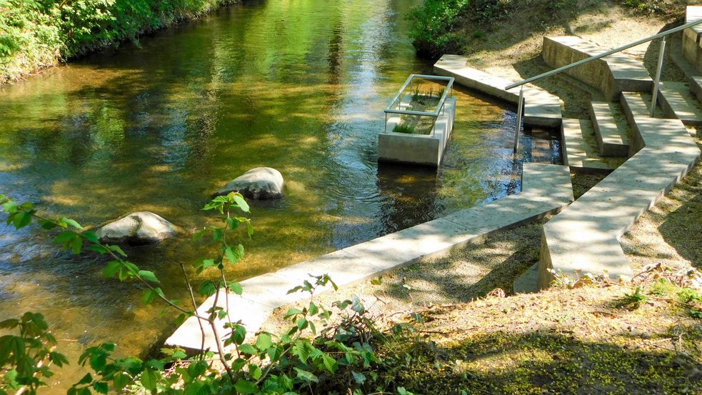 Wassertretanlage im Moorbad-Park, Treppen führen in den Ascherbach