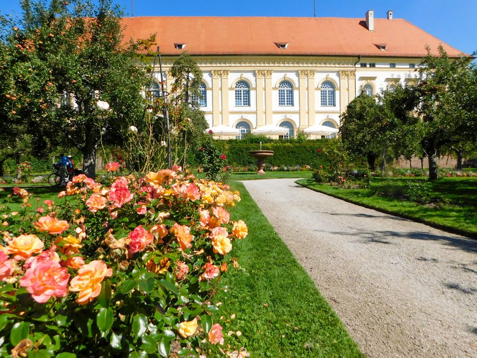 Rosa und gelbe Rosen und Apfelbäume auf einer Wiese im Hintergrund das Schlossgebäude