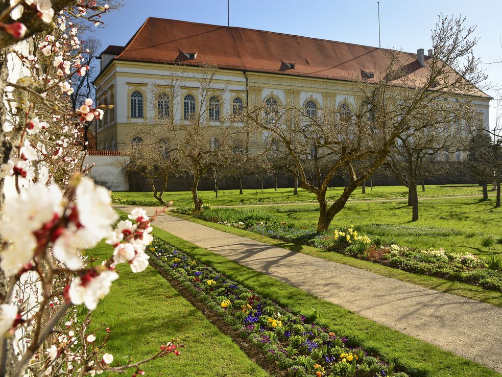 Schloss Dachau vom Hofgarten aus gesehen, Frühlingsblüten links vorne im Bild