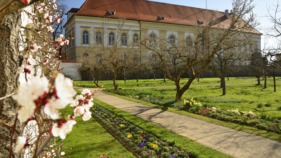 Blühende und kahle Bäume auf der Wiese vor dem Schlossgebäude